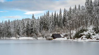 Donmuş göl ve karla kaplı ağaçlarla güzel kış manzarası