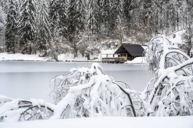 Güzel karlı kış manzarası