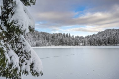 Donmuş göl ve karla kaplı ağaçlarla güzel kış manzarası