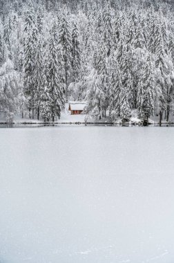 Donmuş göl ve karla kaplı ağaçlarla güzel kış manzarası