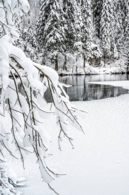 beautiful winter landscape with frozen lake and snow covered trees