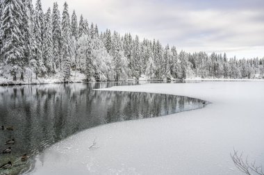 Donmuş göl ve karla kaplı ağaçlarla güzel kış manzarası