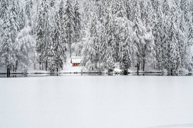 Donmuş göl ve karla kaplı ağaçlarla güzel kış manzarası
