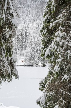 Donmuş göl ve karla kaplı ağaçlarla güzel kış manzarası