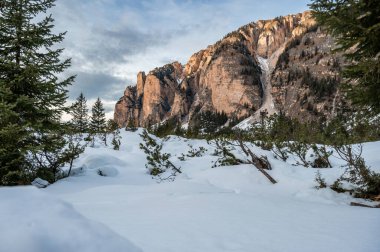 Muhteşem dağları olan güzel bir manzara.