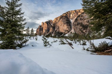 Muhteşem dağları olan güzel bir manzara.