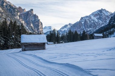 Dağlarda karla kaplı ağaçlarla kaplı güzel bir manzara. 