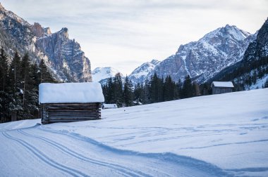 Dağlarda karla kaplı ağaçlarla kaplı güzel bir manzara. 