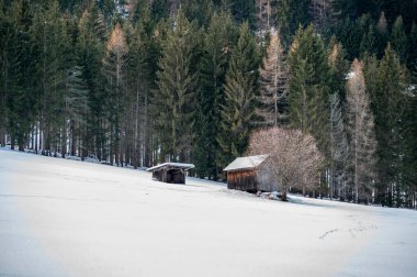 Karla kaplı ağaçlarla kaplı güzel kış manzarası