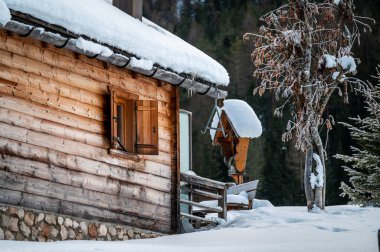 Kış ormanında eski ahşap kulübe