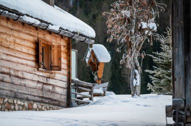 Kış ormanında eski ahşap kulübe