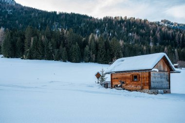 Kış ormanında eski ahşap kulübe