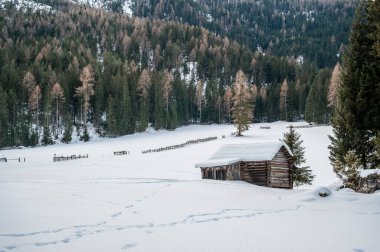 Kış ormanında eski ahşap kulübe