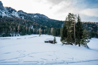 Dağlarda karla kaplı ağaçlarla kaplı güzel bir manzara.