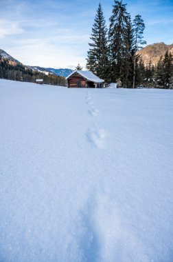 Kış ormanında eski ahşap kulübe