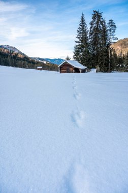 Kış ormanında eski ahşap kulübe