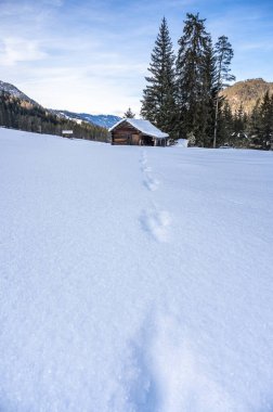 Kış ormanında eski ahşap kulübe
