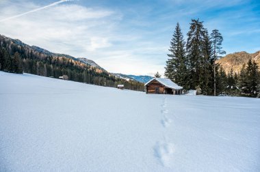 Kış ormanında eski ahşap kulübe