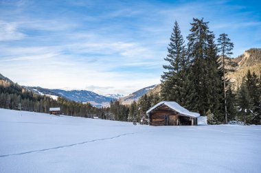 Kış ormanında eski ahşap kulübe