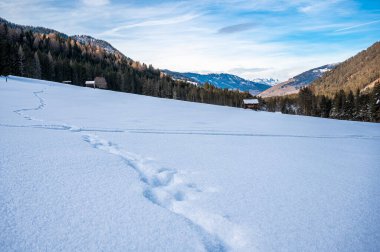 Ahşap kulübeleri olan güzel kış dağları manzarası