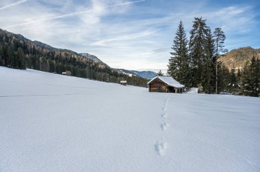 Kış ormanında eski ahşap kulübe
