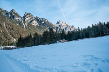 Dağlarda ağaçlarla kaplı güzel bir manzara. 