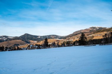 Karla kaplı ağaçlarla kaplı güzel kış manzarası