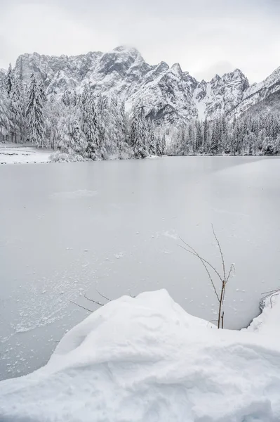 Donmuş göl ve karla kaplı ağaçlarla güzel kış manzarası