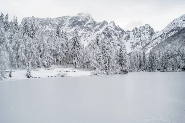 Beautiful Winter Landscape Frozen Lake Snow Covered Trees — стоковое фото