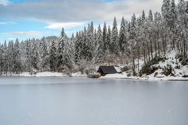 Красивий Зимовий Пейзаж Замерзлим Озером Покритими Снігом Деревами — стокове фото