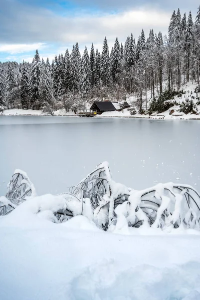 Beautiful Winter Landscape Frozen Lake Snow Covered Trees — стоковое фото