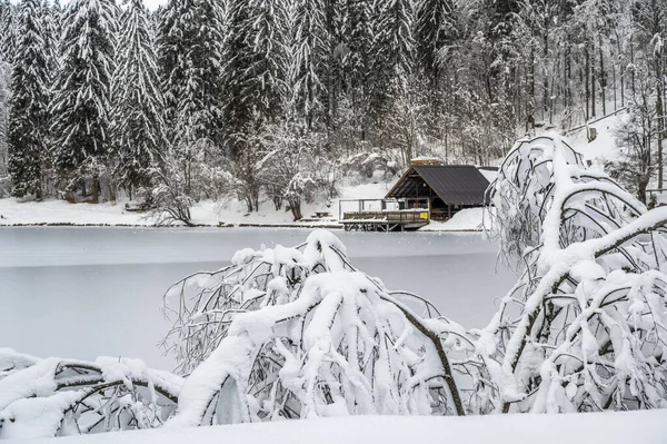 Güzel karlı kış manzarası