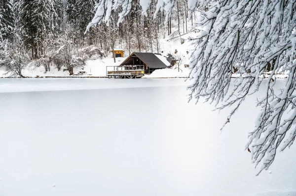 美丽的冬季风景 冰封着湖泊 积雪覆盖着树木 — 图库照片