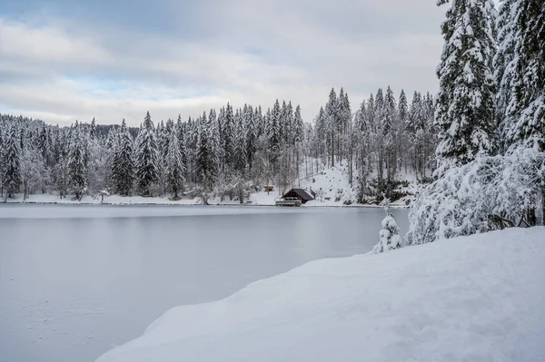 Bela Paisagem Inverno Com Lago Congelado Árvores Cobertas Neve — Fotografia de Stock