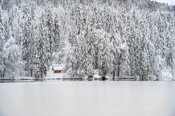 Vackert Vinterlandskap Med Frusen Sjö Och Snötäckta Träd — Stockfoto