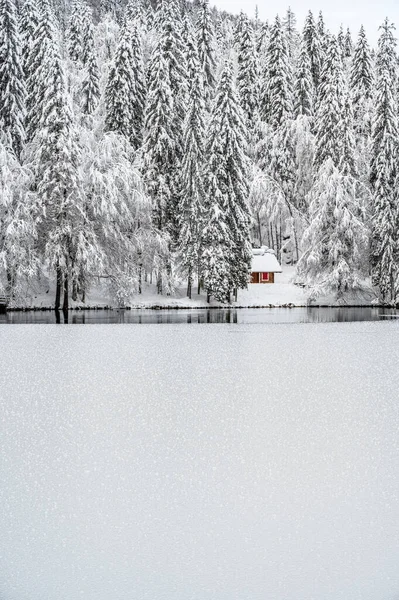 Donmuş göl ve karla kaplı ağaçlarla güzel kış manzarası