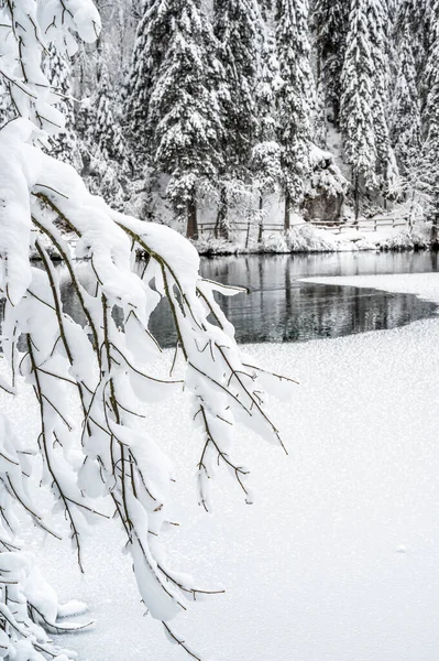 Beautiful Winter Landscape Frozen Lake Snow Covered Trees — Foto de Stock