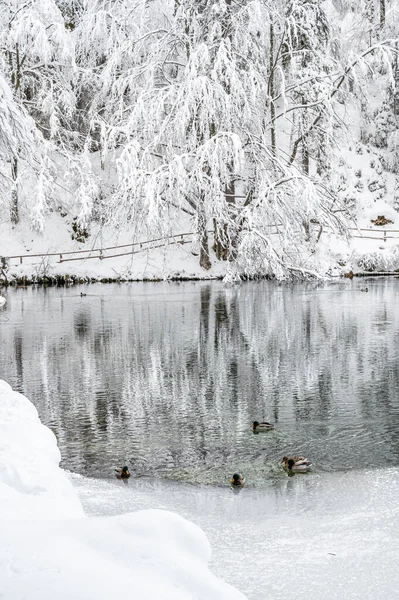 Beautiful Winter Landscape Frozen Lake Snow Covered Trees — Zdjęcie stockowe