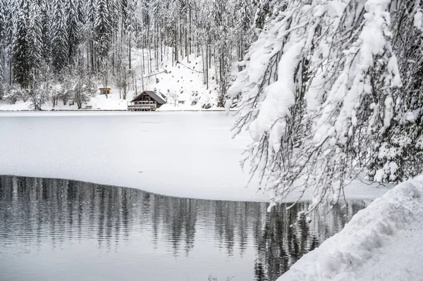Beautiful Winter Landscape Frozen Lake Snow Covered Trees — Stock fotografie