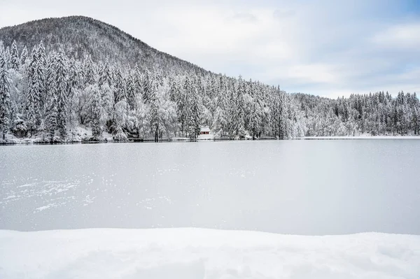 Beau Paysage Hivernal Avec Lac Gelé Arbres Enneigés — Photo