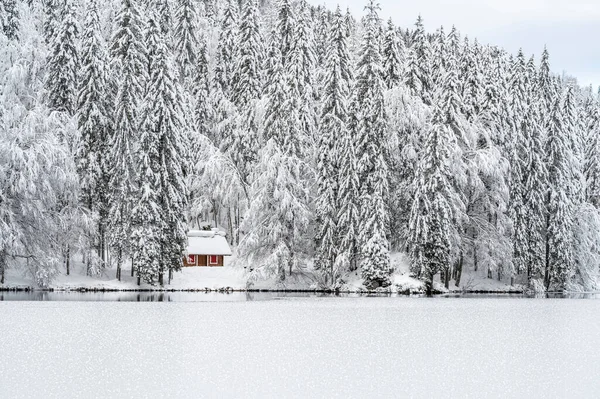 Beautiful Winter Landscape Frozen Lake Snow Covered Trees — Stock fotografie