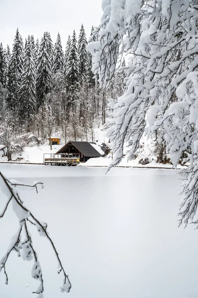 Donmuş göl ve karla kaplı ağaçlarla güzel kış manzarası