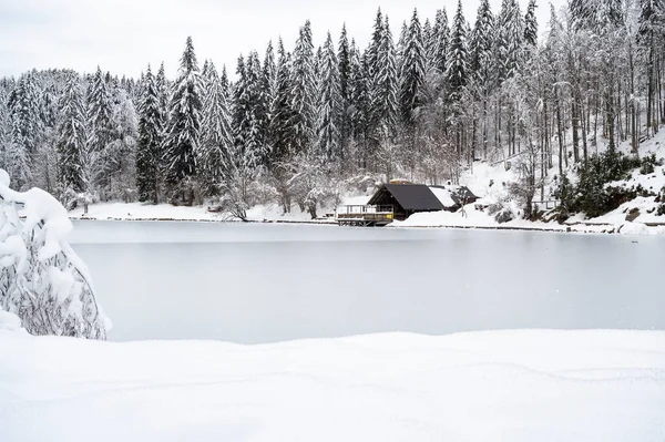 Красивий Зимовий Пейзаж Замерзлим Озером Покритими Снігом Деревами — стокове фото