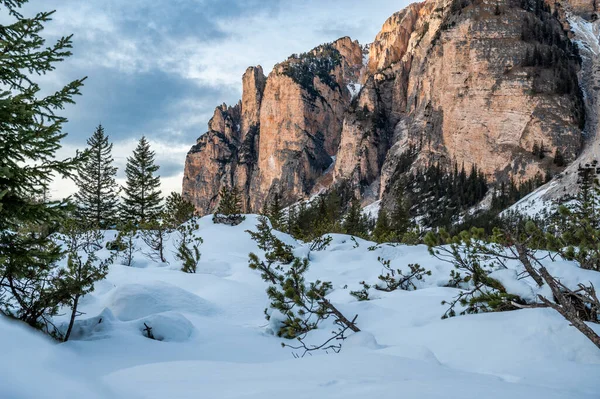 Muhteşem dağları olan güzel bir manzara.