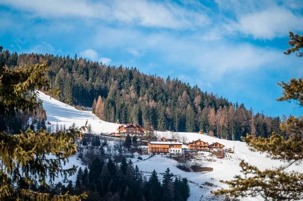 Karla kaplı ağaçlarla kaplı güzel kış manzarası