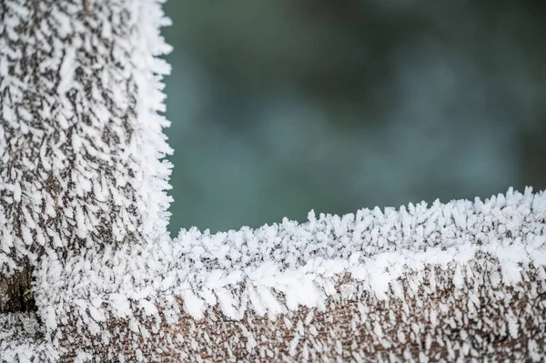 Kış gününde don.