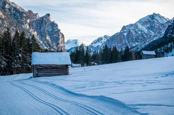 Dağlarda karla kaplı ağaçlarla kaplı güzel bir manzara. 