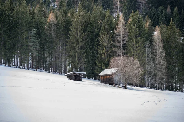 Karla kaplı ağaçlarla kaplı güzel kış manzarası