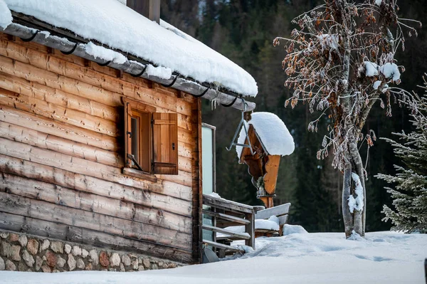 Kış ormanında eski ahşap kulübe