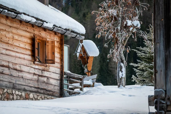 Kış ormanında eski ahşap kulübe